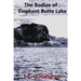 The Bodies of Elephant Butte Lake