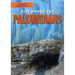 Life Among the Paleoindians