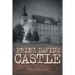 Prinz David's Castle