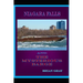 Niagara Falls and the Mysterious Barge
