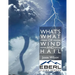 What's What of Wind and Hail