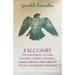 Falconry - The Peregrine, Eyesses, Hacking Hawks, Training, Game Hawking, Records of Sport and Magpie Hawking