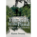 The Gift by the Pond: A Simple Act of Kindness