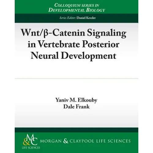 Wnt/ -Catenin Signaling in Vertebrate Posterior Neural Development