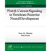Wnt/ -Catenin Signaling in Vertebrate Posterior Neural Development