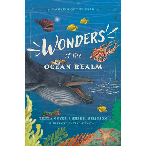 Wonders of the Ocean Realm: 5 Under-The-Sea Tales of Faith and Science for Kids