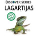 Lagartijas