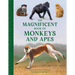 The Magnificent Book of Monkeys and Apes