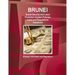 Brunei Social Security and Labor Protection System Policies, Laws and Regulations Handbook - Strategic Information and Regulations