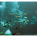 What Did the Deep Sea Say
