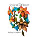 The Cycle of a Flower
