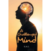 A Challenged Mind