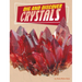 Dig and Discover Crystals