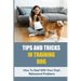 Tips And Tricks In Training Dog: How To Deal With Your Dog's Behavioral Problems: Tricks To Teach Your Puppy
