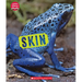 Skin (Learn About: Animal Coverings)
