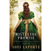 A Mistletoe Promise: A Christmas Wishing Well Novella