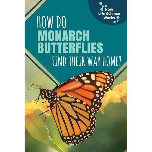 How Do Monarch Butterflies Find Their Way Home?