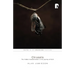 Chrysalis: The Hidden Transformation in the Journey of Faith