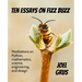 Ten Essays on Fizz Buzz: Meditations on Python, mathematics, science, engineering, and design