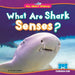 What Are Shark Senses?