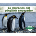 La Migración del Pingüino Emperador (Emperor Penguin Migration)