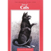 Tales of Cats