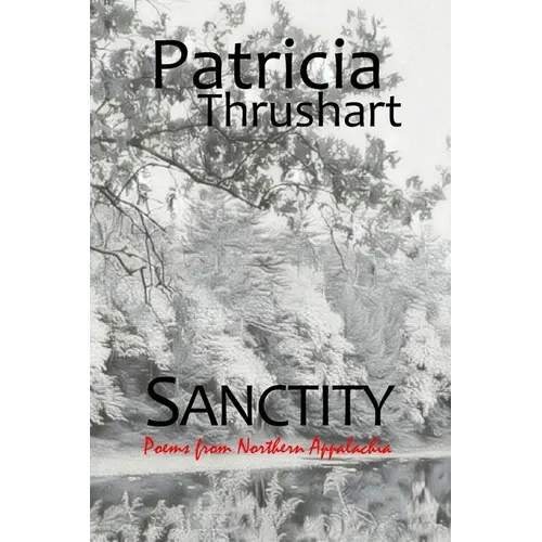 Sanctity: poems from Northern Appalachia
