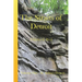 The Straits of Detroit: Volume One - St. Aubin's Detroit