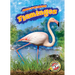 Flamingos