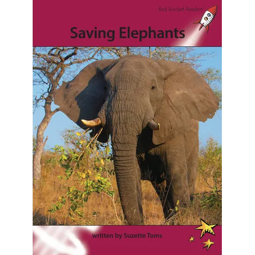 Saving Elephants