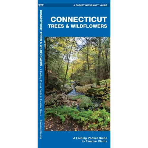 Connecticut Trees & Wildflowers