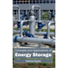 Concepts and Applications of Energy Storage