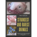 The World's Strangest and Rarest Animals: Curiosities and stories of bizarre animals that almost no one knows about Weird and unusual Creatures Volume