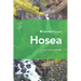 Journey Through Hosea: 31 Biblical Insights by David Gibb
