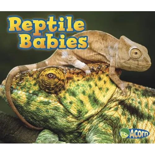 Reptile Babies
