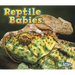 Reptile Babies