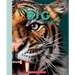 How Big Is That? a Life-Size Guide to the Animal Kingdom