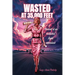 Wasted at 35,000 Feet: Memoir of an addicted flight attendant