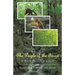 The People of the Forest: A Rain Forest Musical