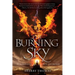The Burning Sky