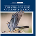 The Strange Life Cycle of a Cuckoo