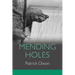 Mending Holes