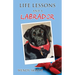 Life Lessons and a Labrador