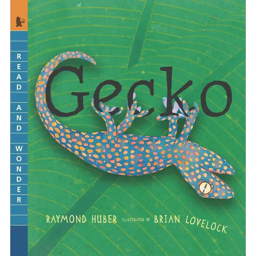 Gecko: Read and Wonder