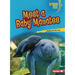 Meet a Baby Manatee