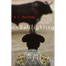 On Bullfighting