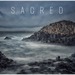 Sacred: In Search of Meaning