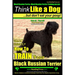 Black Russian Terrier, Black Russian Terrier Training AAA AKC: Think Like a Dog, but Don't Eat Your Poop! Black Russian Terrier Breed Expert Training:
