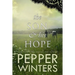 The Son & His Hope