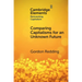 Comparing Capitalisms for an Unknown Future
